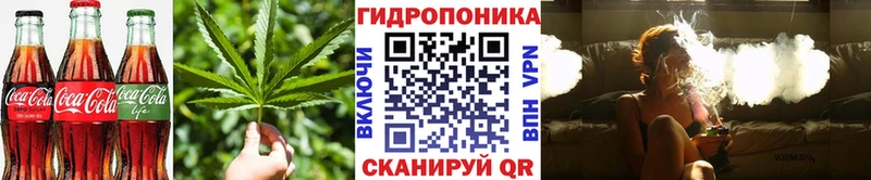 Canna-Cookies марихуана  Ковылкино 