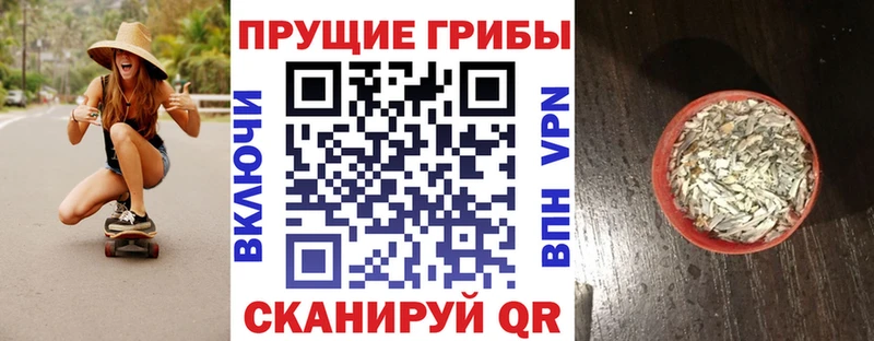 хочу наркоту  Ковылкино  Галлюциногенные грибы мицелий 
